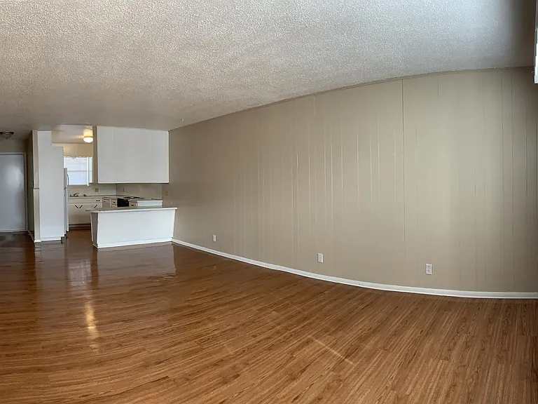 401 E 5th St #3 — Photo 4