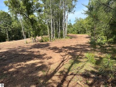 Betsie River Rd, Interlochen, MI, 49643