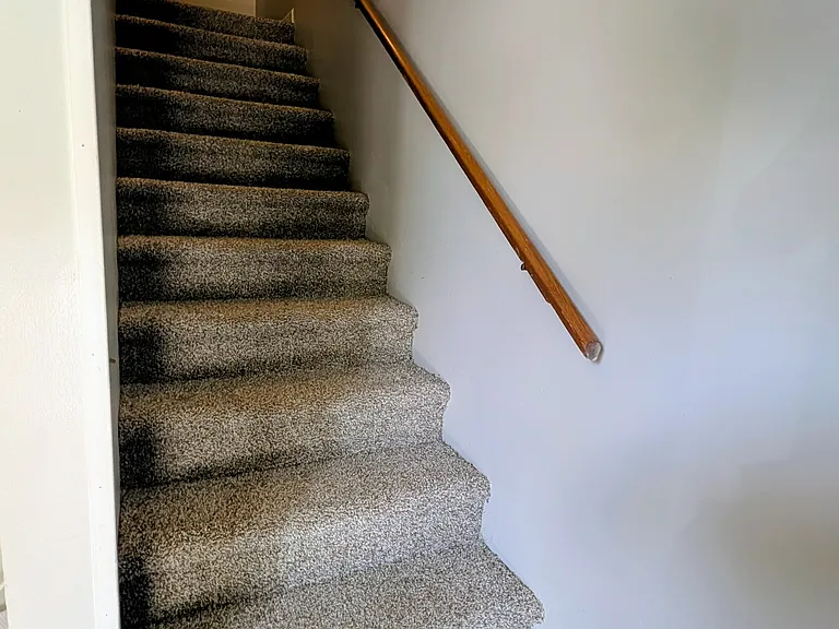213 Paw Path Ln — Photo 5