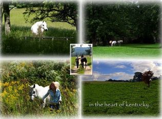 2020 Stith Valley Rd, Guston, KY 40142