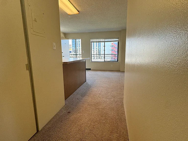 4130 11th Ave NE #3003 — Photo 4