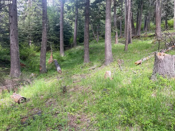 0 Tram Ln, Joseph, OR 97846