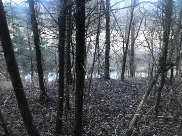 0 Sugar Creek Rd W, Gainesboro, TN 38562