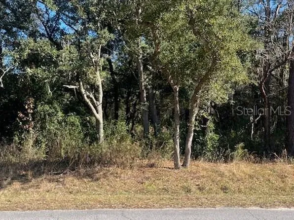 SE 94th Ave Lot 84, Belleview, FL 34420