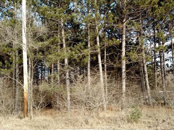 Beech Dr, Lake, MI 48632
