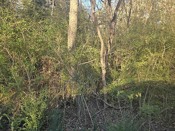 4th image of Rolling Wood Hills Subdivision