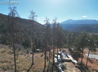 1430 Red Haven Pl, Woodland Park, CO 80863