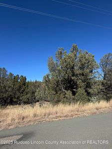 L310 Santiago Cir, Alto, NM, 88312
