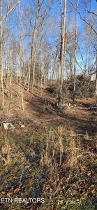 LOT 5 Sugar Maple Ct, Madisonville, TN, 37354