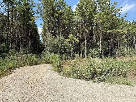 3rd image of 5700 Black Cat Rd