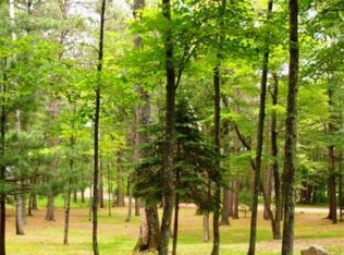 Forest Circle Dr LOT 8, Woodruff, WI 54568