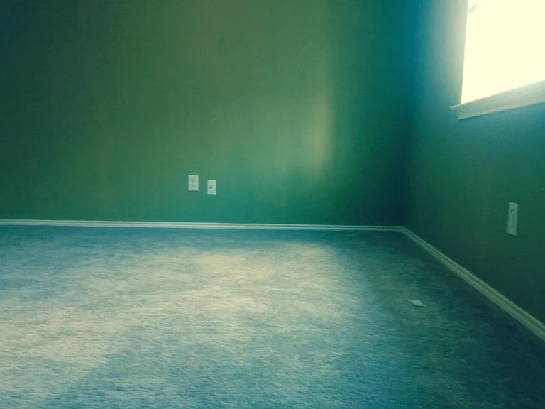 5519 Laysan Ct — Photo 6