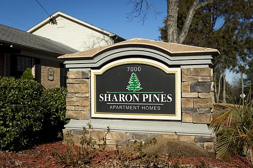 Sharon Pines — Photo 25