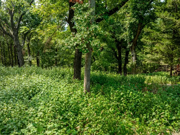 Pheasant Cir, Afton, OK 74331