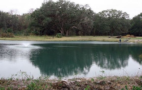 1.5 Acre Spring Fed, Stocked Pond