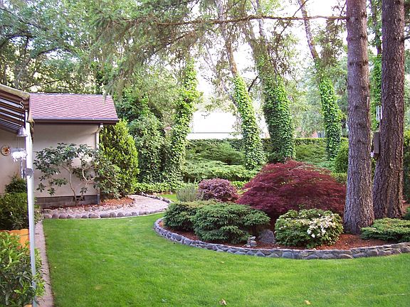 Back yard