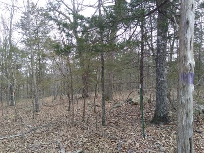 Lot 1 Copperhead Road, Cedarcreek, MO, 65627
