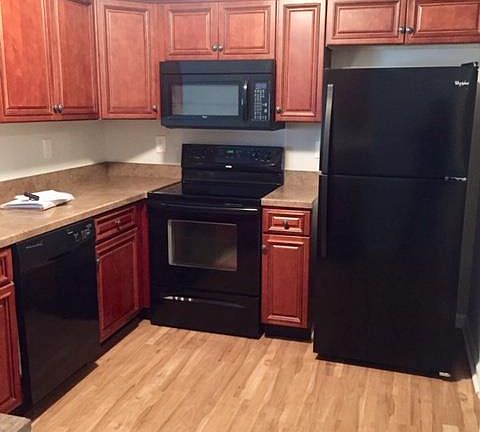 4th image of 1096 Somerset Springs Dr