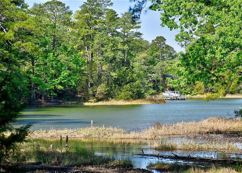 There is so much wildlife to watch. There are two herons in this picture. 