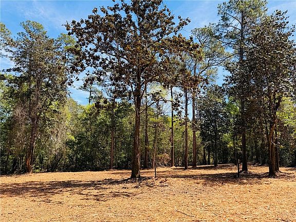 2nd image of 0 Rebel Rd #42