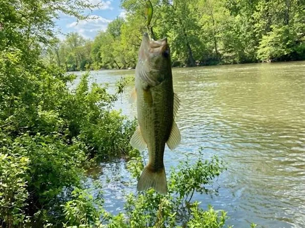 0 Elrod Ln, Muse, OK 74949