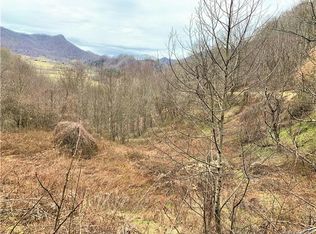 586 Price Town Rd, Clyde, NC 28721