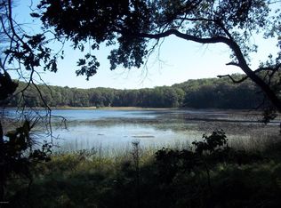 9312 W Ox Path St, Baldwin, MI 49304