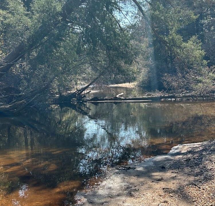 1st image of 0 Wolf Log Rd