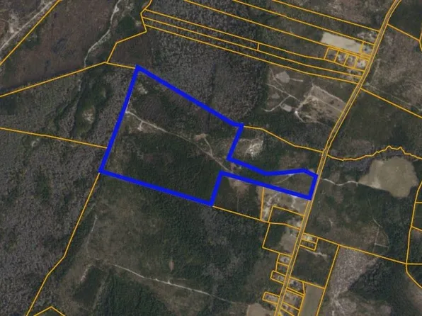 TBD N Nichols Hwy., Nichols, SC 29581
