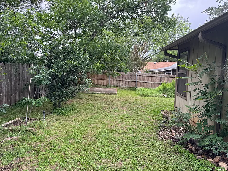 Back yard
