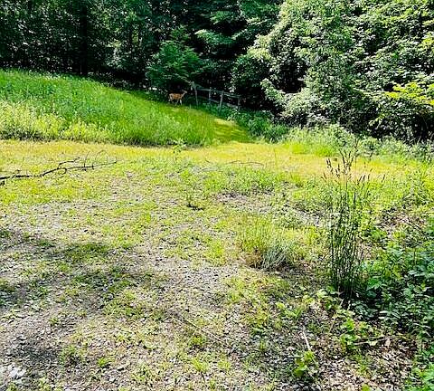 5th image of 2600 Rosendale Road