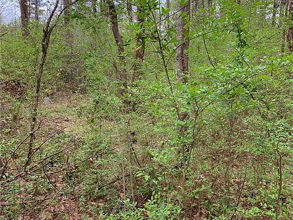 4th image of 6883 Pawnee Trl SE Lot 50