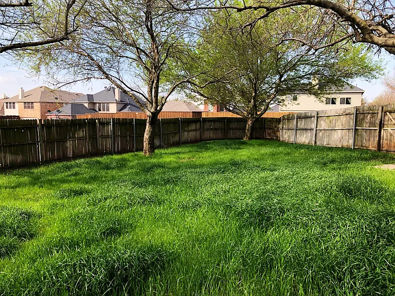 6417 Calloway Dr — Photo 16