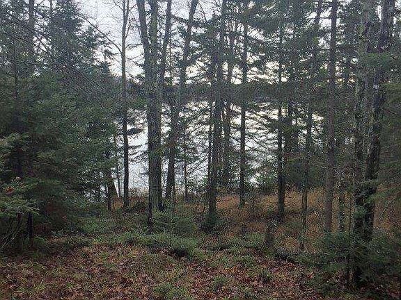 3rd image of Harris Creek Ln Lot 24
