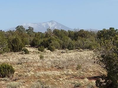 8755 Hawkeye Cir #303, Williams, AZ, 86046