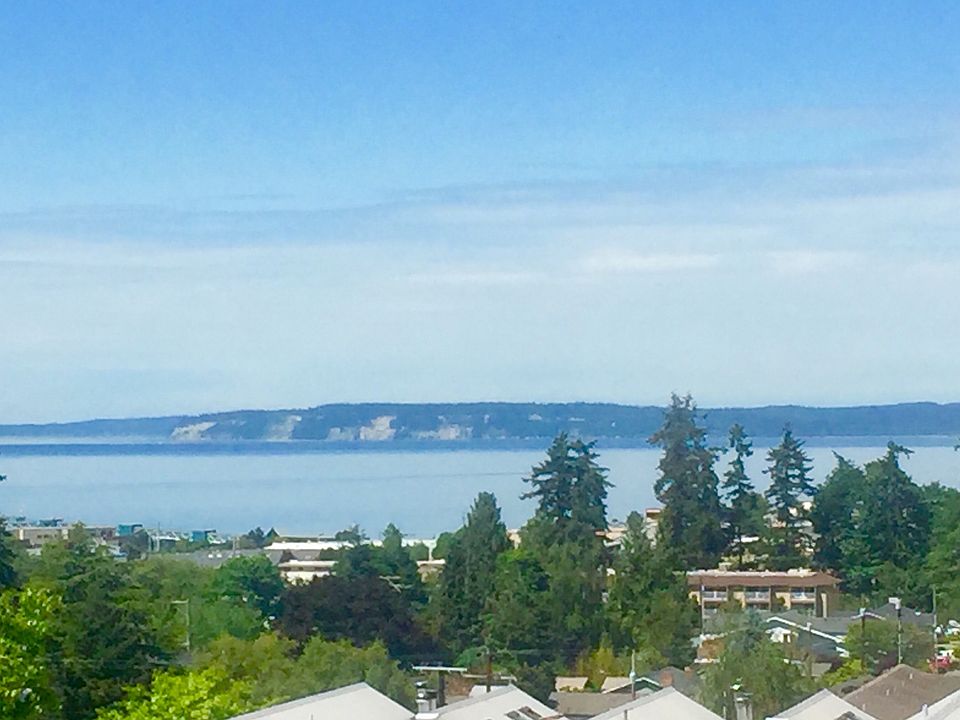 Views Olympics/Puget Sound