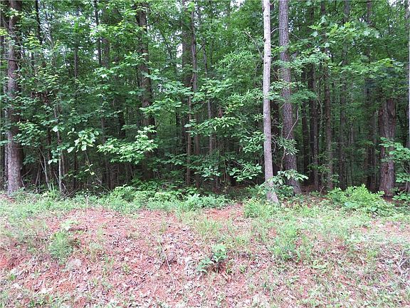 2nd image of 0 Doke Cohran Rd #1225