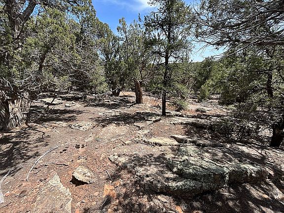 2nd image of 14 Cedar Point Rd