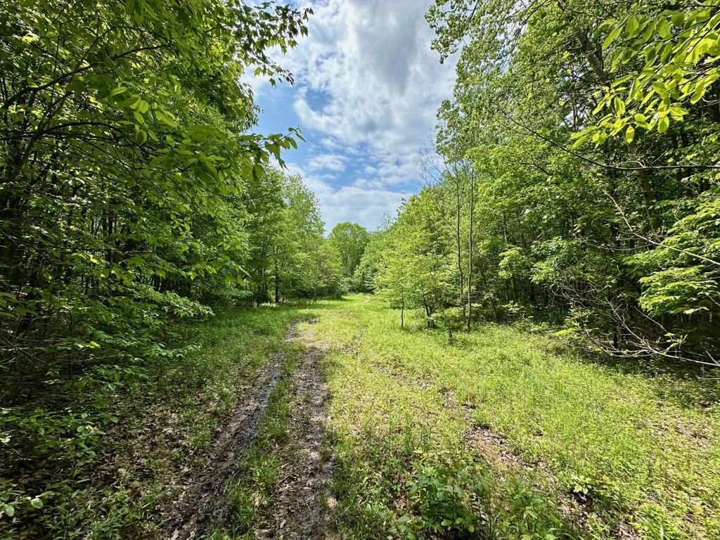 Real estate listing image