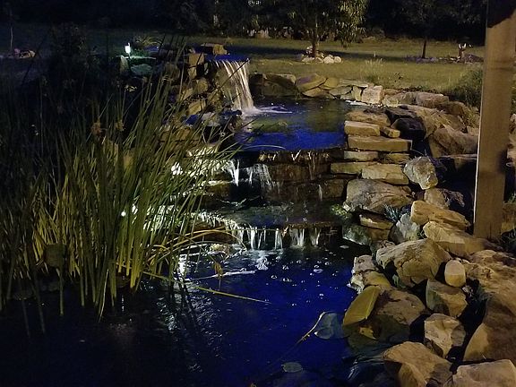Koy Pond at night