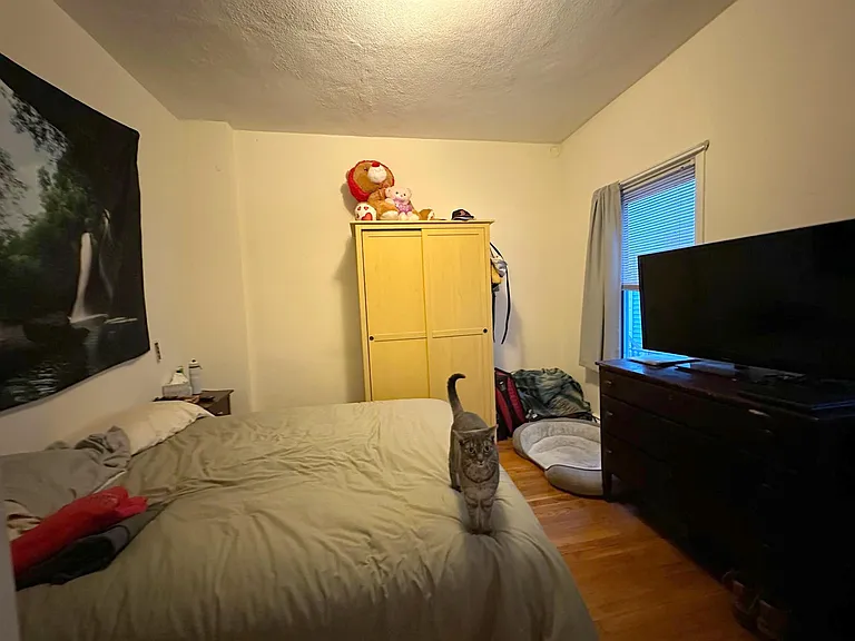 13 Concord Ave — Photo 6