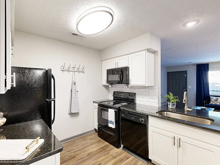 Silvertree at Little Turtle Apartments — Photo 15
