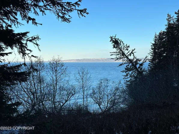 L25 B7 Fritz Rd, Seldovia, AK 99663