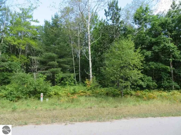 2205 Driftwood Ln NE #5, Kalkaska, MI 49646