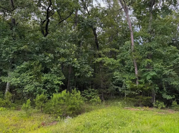 (undisclosed Address), Heber Springs, AR 72543