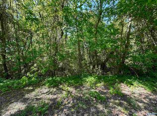 31 Morgan City Dr, Laceys Spring, AL 35754