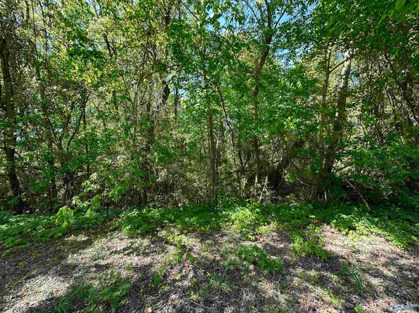 31 Morgan City Dr, Laceys Spring, AL 35754