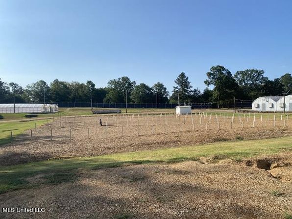 4450 Parsons Rd, Raymond, MS 39154