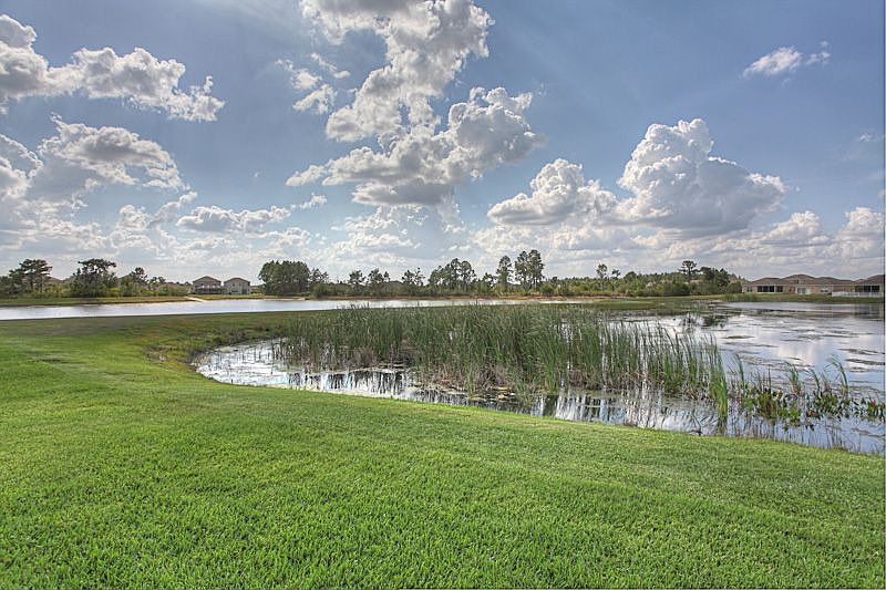 1st image of 20653 Longleaf Pine Ave