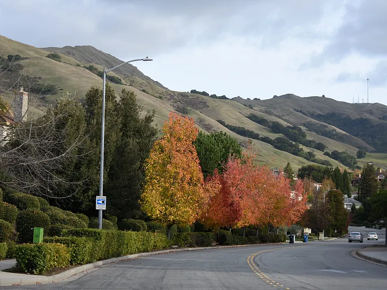 Autumn Fremont